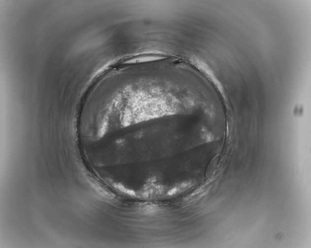 X0000093750249200711131132