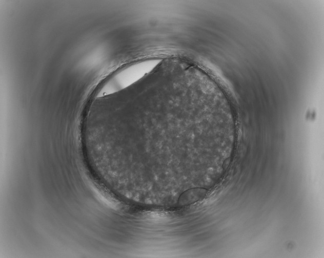 X0000093750250200711131132