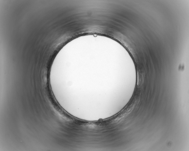 X0000093750253200711131132