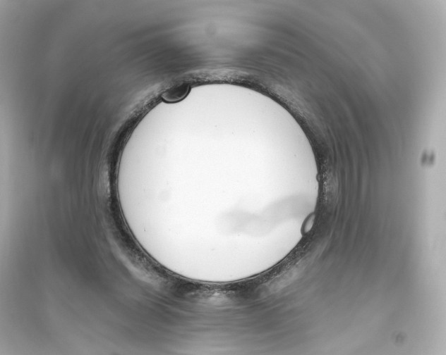 X0000093750254200711131132