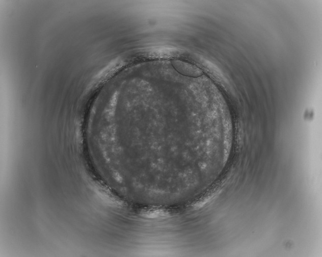 X0000093750258200711131132