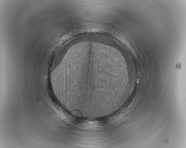 X0000093750260200711131132