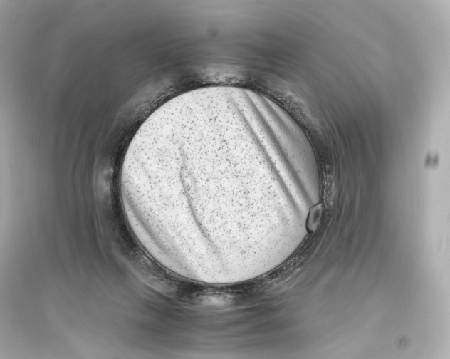 X0000093750263200711131132