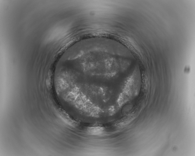 X0000093750266200711131132