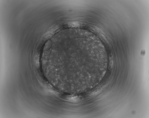 X0000093750267200711131132