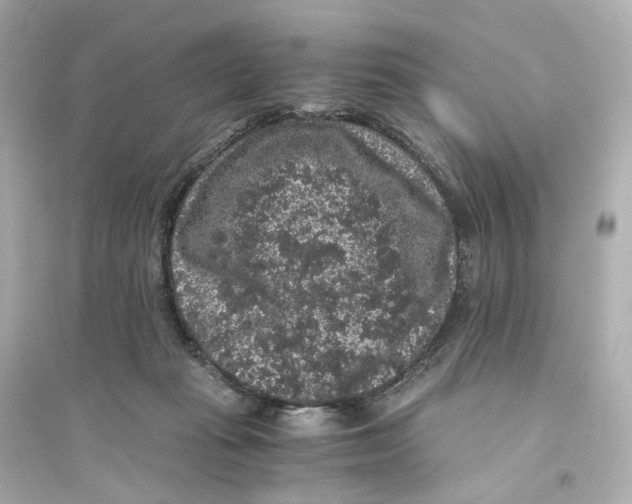 X0000093750269200711131132