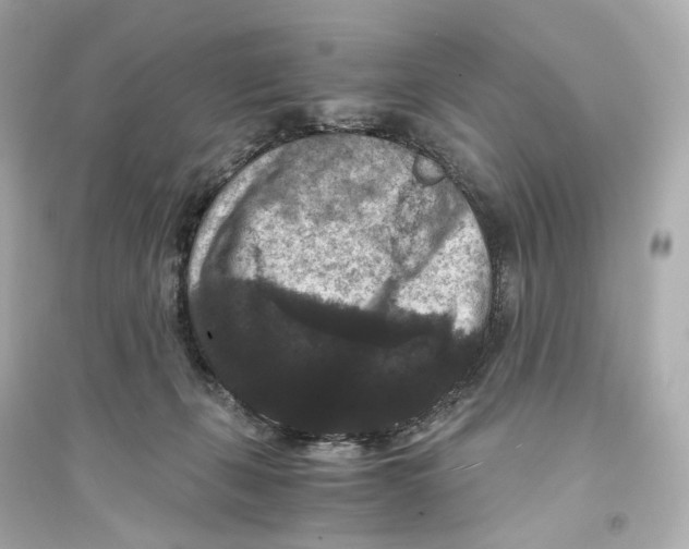 X0000093750271200711131132