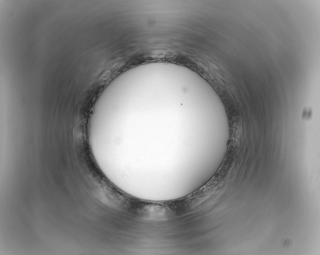 X0000093750272200711131132