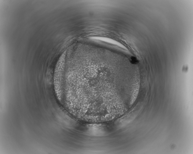 X0000093750273200711131132