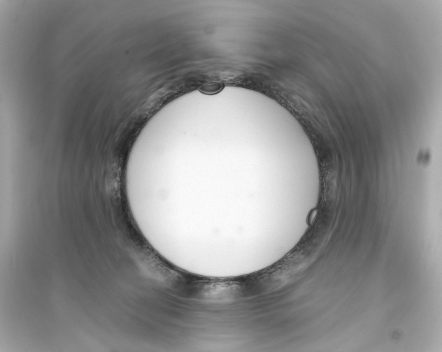 X0000093750274200711131132