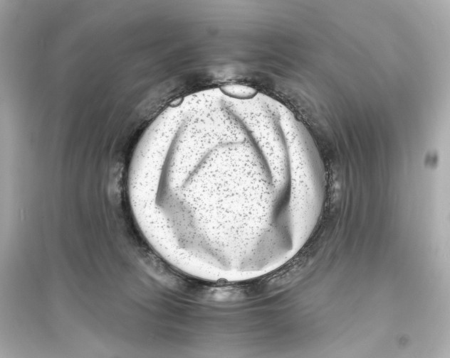 X0000093750275200711131132