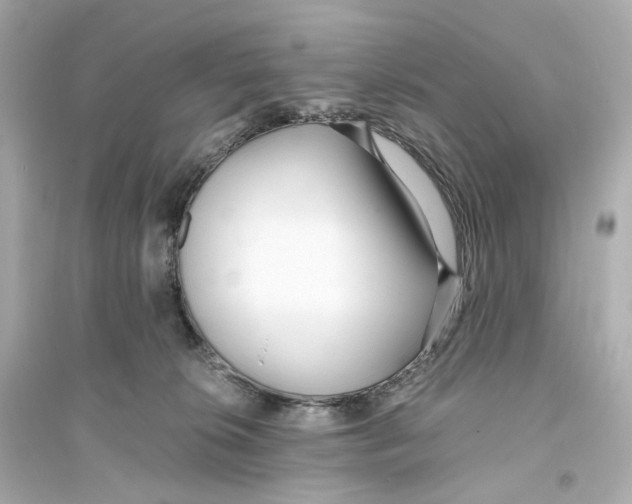 X0000093750276200711131132