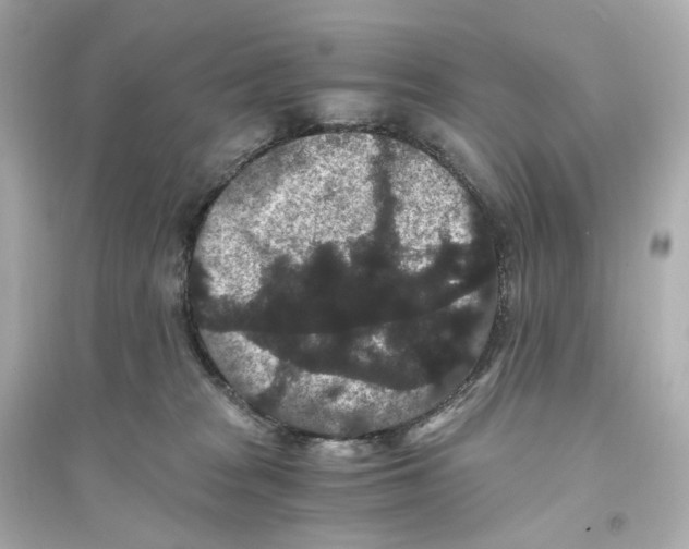 X0000093750277200711131132