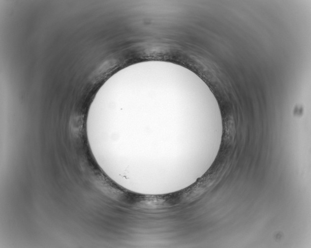 X0000093750278200711131132