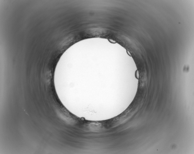 X0000093750279200711131132