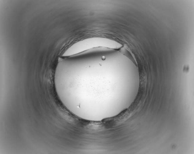 X0000093750280200711131132