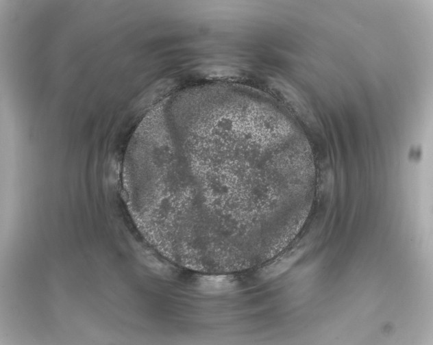 X0000093750281200711131132