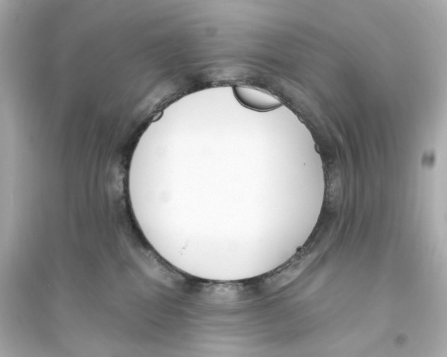 X0000093750282200711131132