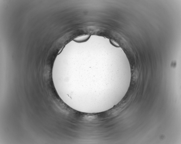 X0000093750283200711131132