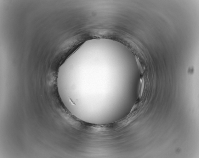 X0000093750284200711131132