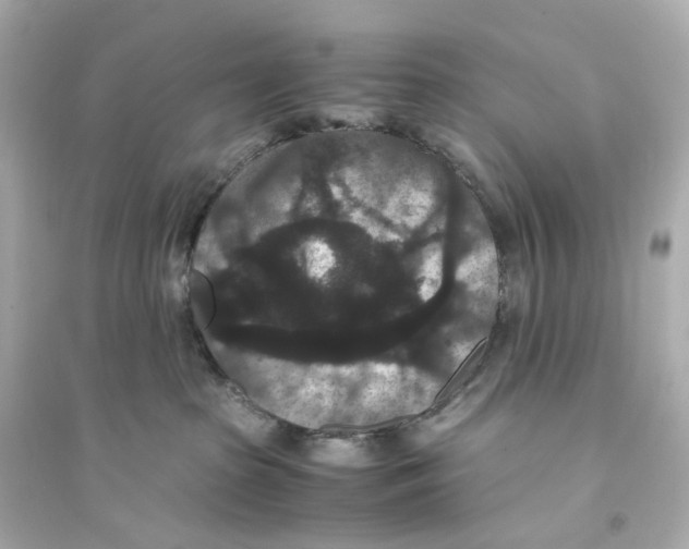 X0000093750285200711131132