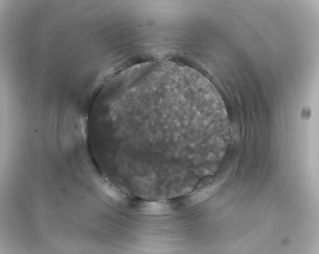 X0000093750286200711131132