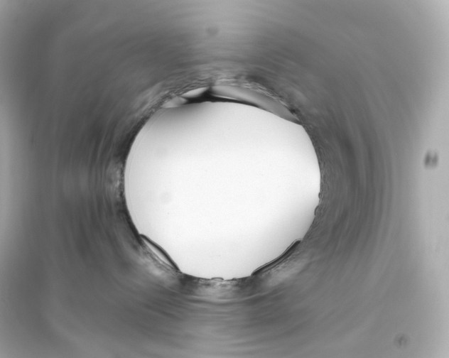 X0000093750288200711131132