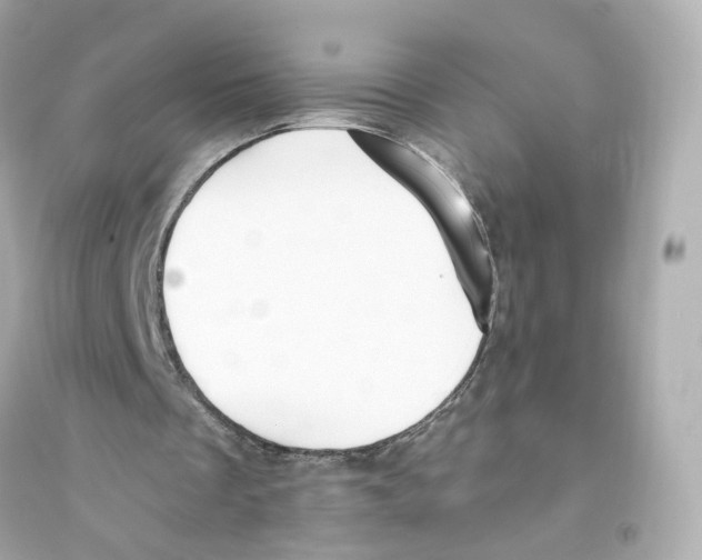 X0000093750289200711131131