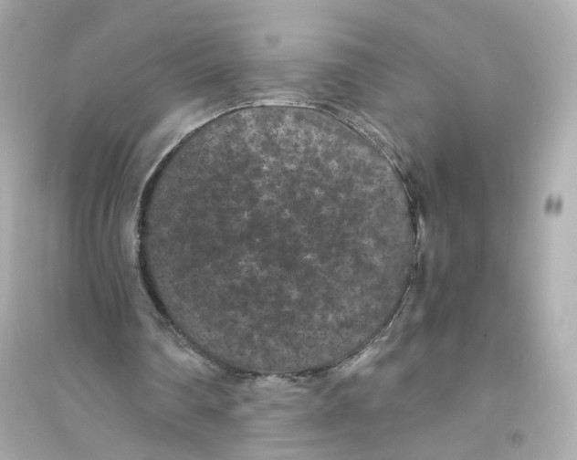 X0000093750290200711131131