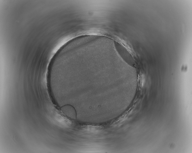 X0000093750292200711131131