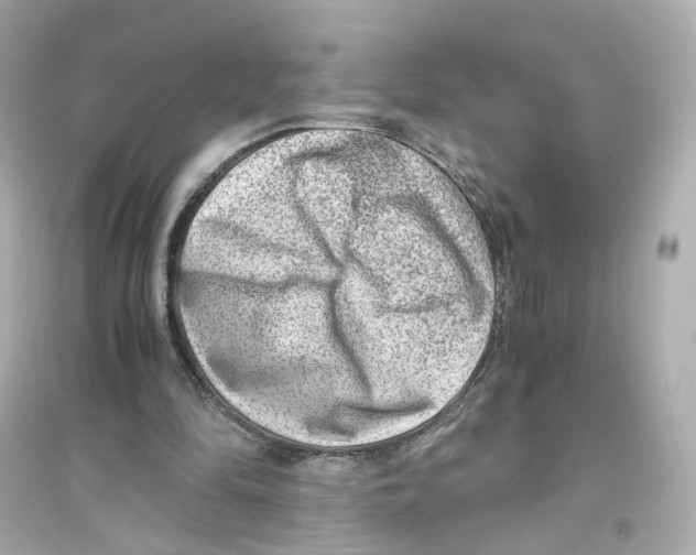 X0000093750294200711131131