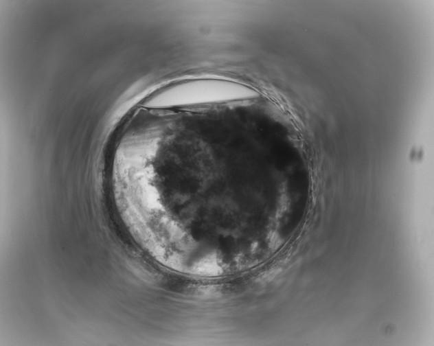 X0000093750295200711131131