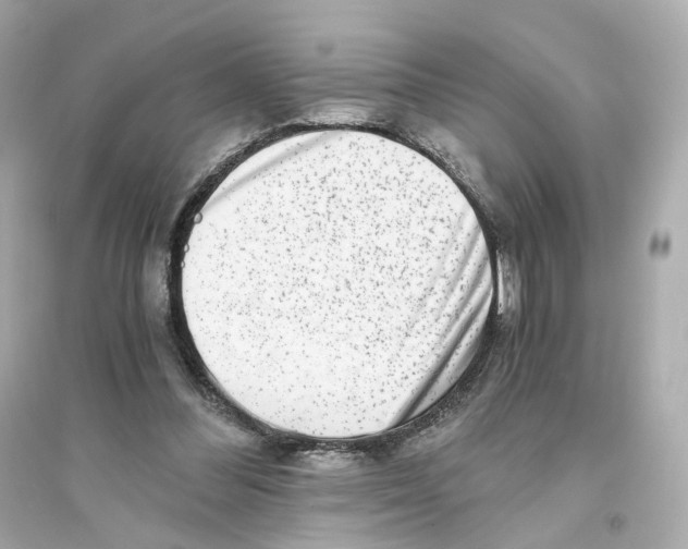 X0000093750300200711131131