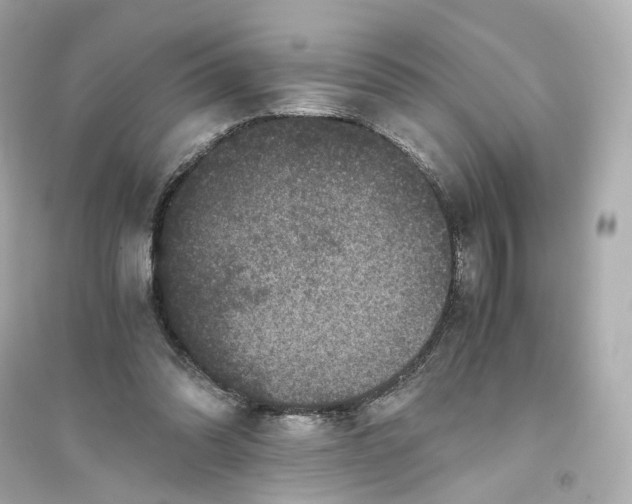 X0000093750302200711131131