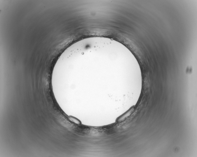 X0000093750305200711131131