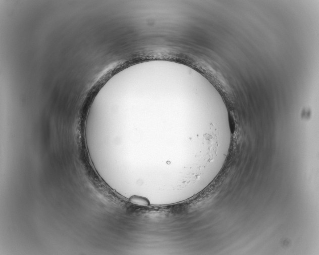 X0000093750306200711131131