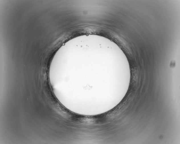 X0000093750313200711131131