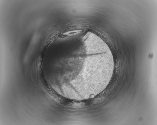 X0000093750314200711131131