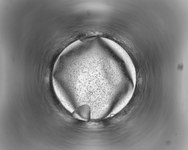 X0000093750315200711131131