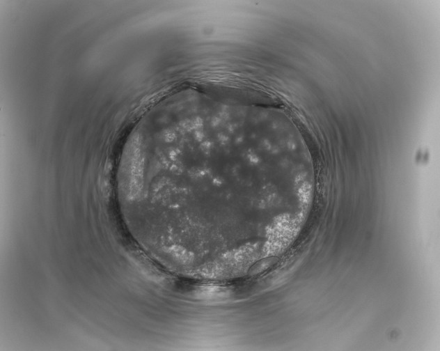 X0000093750319200711131131