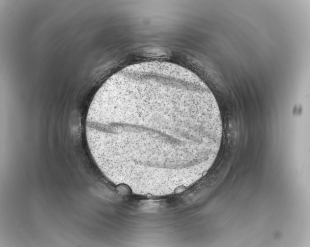 X0000093750320200711131131