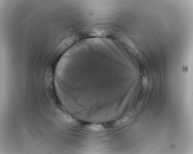 X0000093750322200711131131