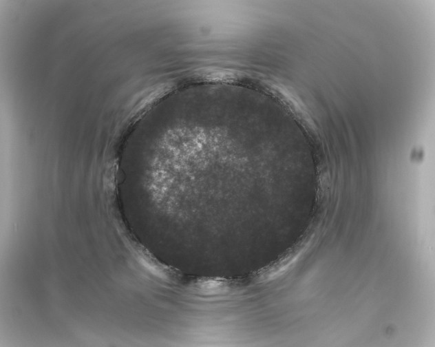 X0000093750325200711131131