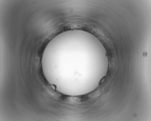 X0000093750327200711131131