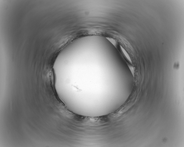 X0000093750329200711131131