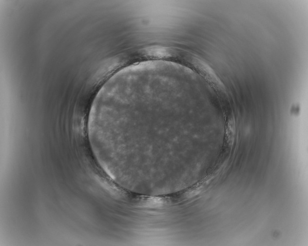 X0000093750330200711131131