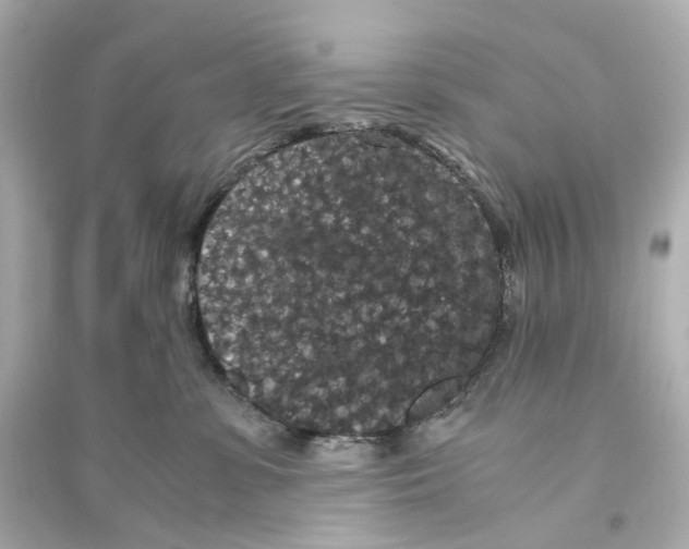 X0000093750331200711131131