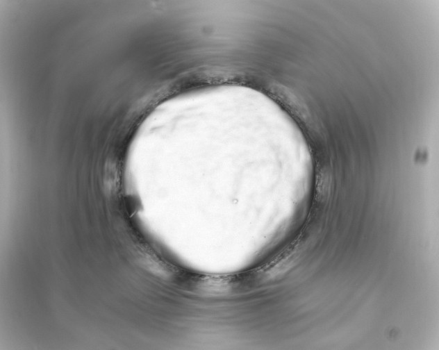 X0000093750335200711131131