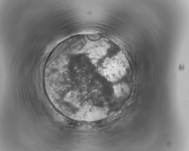 X0000093750337200711131130