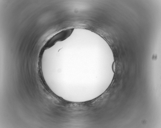 X0000093750338200711131130